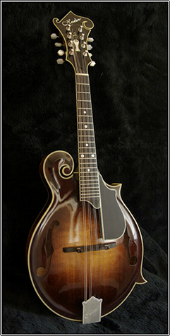 Heiden F Artist Mandolin