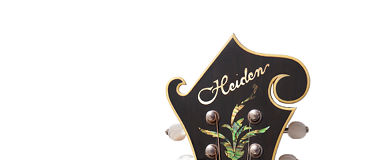 Heiden Stringed Instruments