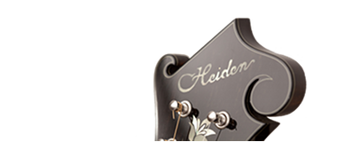 Heiden Stringed Instruments