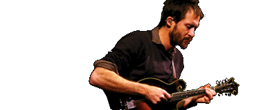 Heiden Stringed Instruments