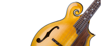 Heiden Stringed Instruments
