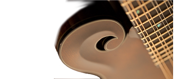 Heiden Stringed Instruments